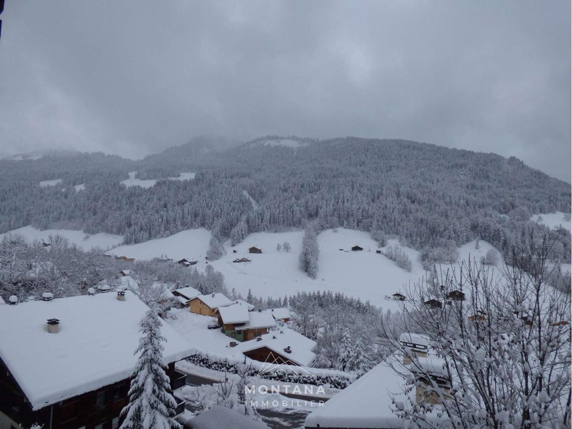 Studio Renove Avec Cabine - 26M² - 5 Pers - Balcon Expose Sud - Pres Skibus Et Remontees Mecaniques - Fr-1-458-125 Le Grand-Bornand Luaran gambar